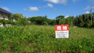 A005